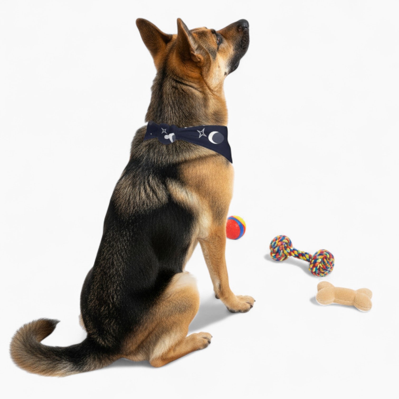 Bruno - Stylish Dog Bandana