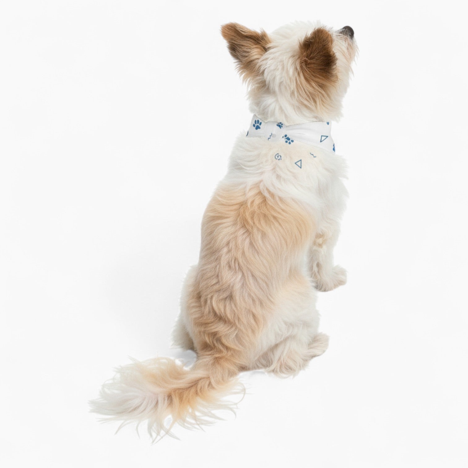Nico - Stylish Dog Bandana