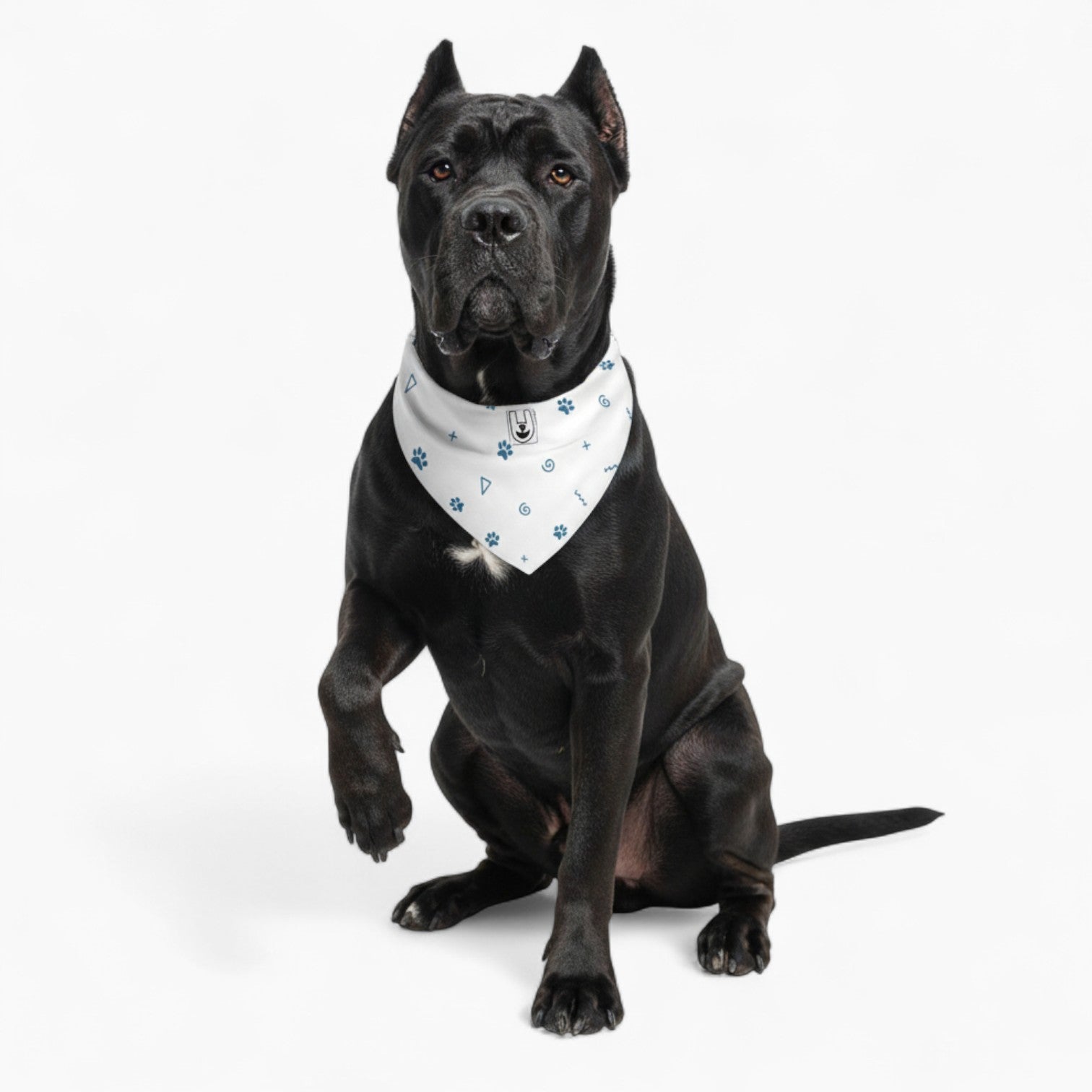 Nico - Stylish Dog Bandana
