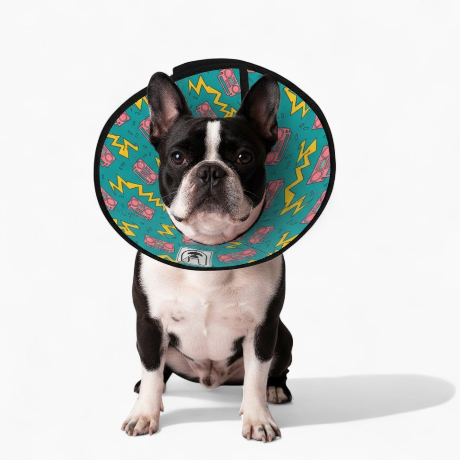 Nala - Soft Dog Cone & Elizabethan Collar