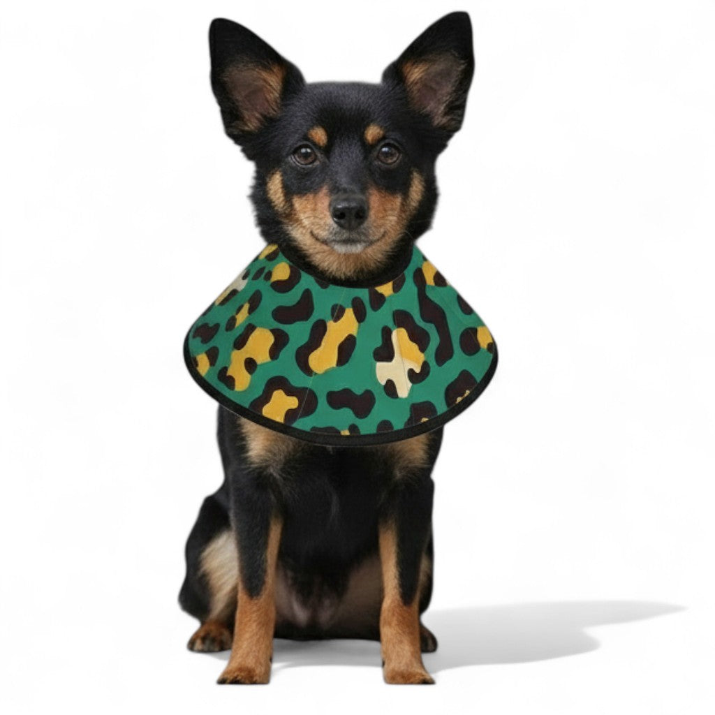 Coco - Soft Dog Cone & Elizabethan Collar