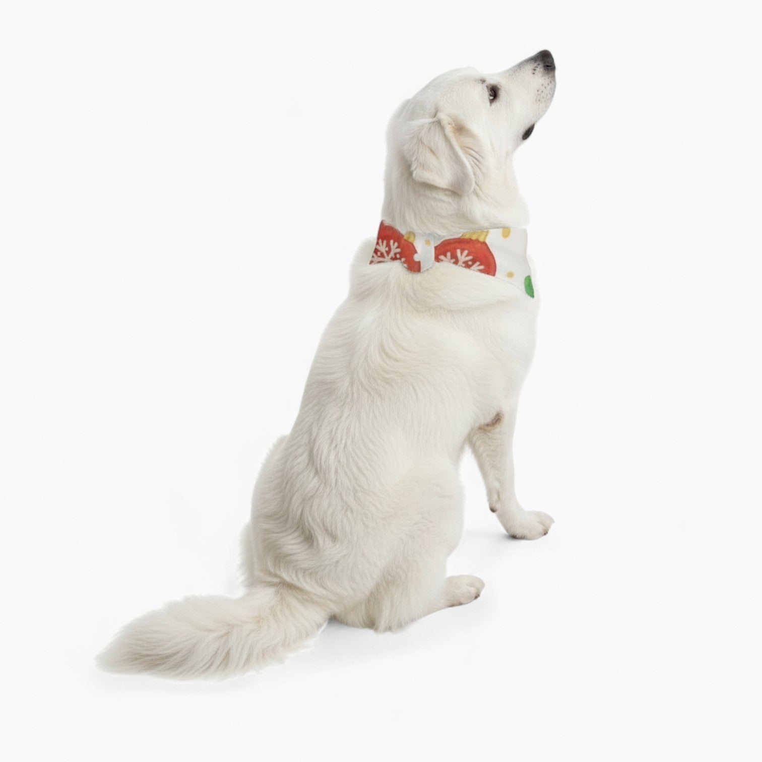 Theo - Stylish Dog Bandana