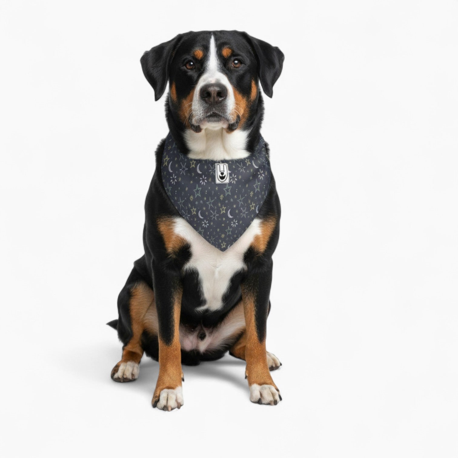 Dog Bandanas Double Sided