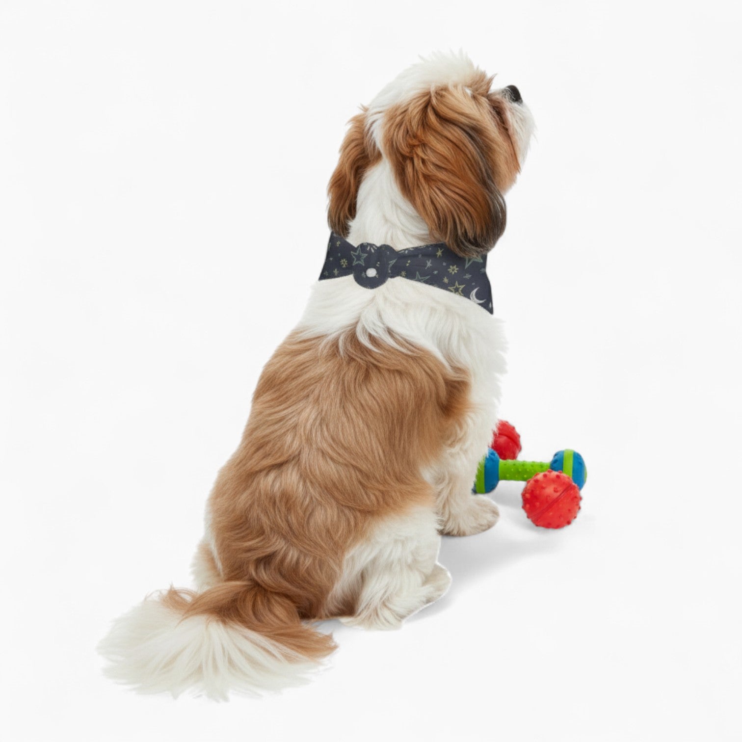 Dog Bandanas Double Sided