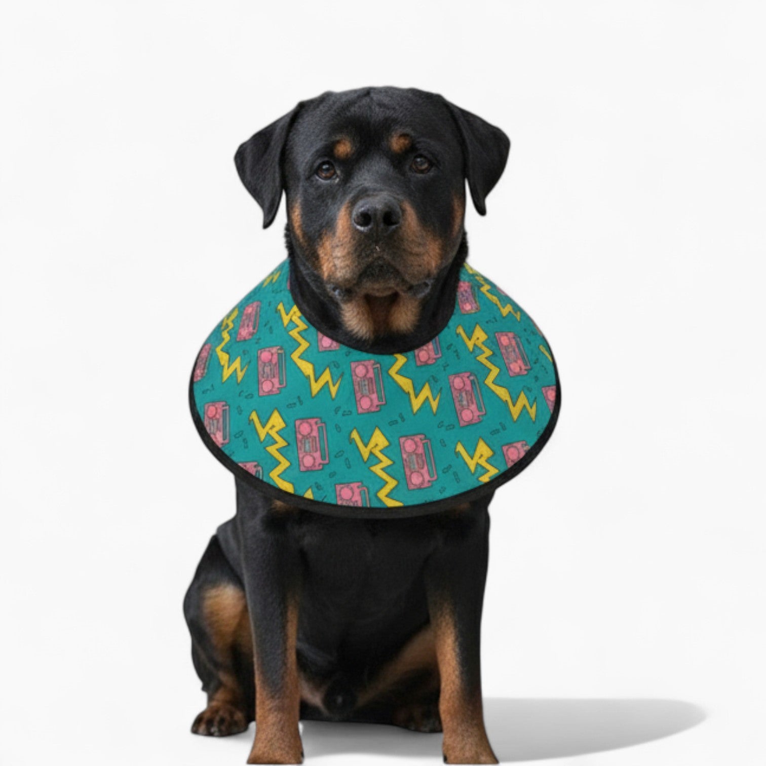 Nala - Soft Dog Cone & Elizabethan Collar