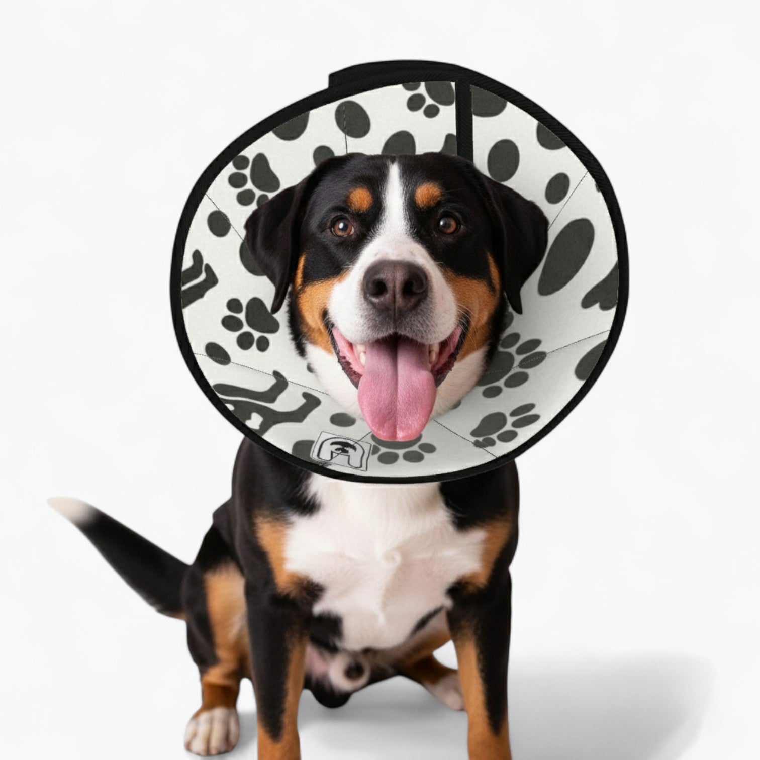 Ellie - Soft Dog Cone & Elizabethan Collar