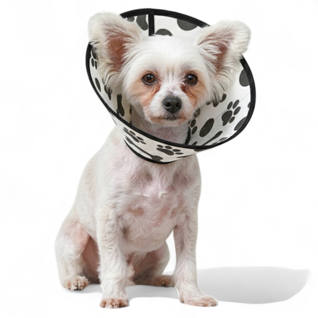 Ellie - Soft Dog Cone & Elizabethan Collar