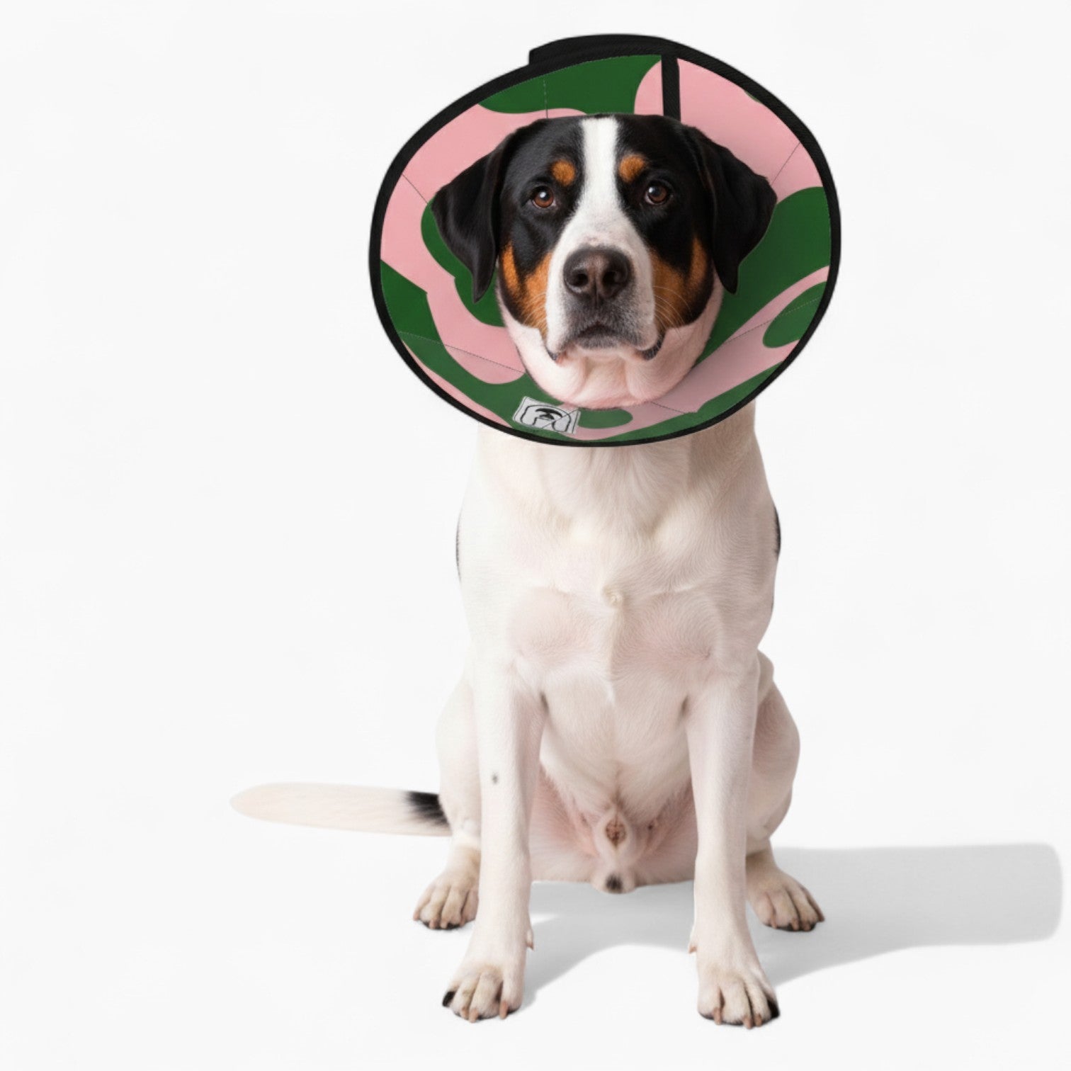 Rosie - Soft Dog Cone & Elizabethan Collar