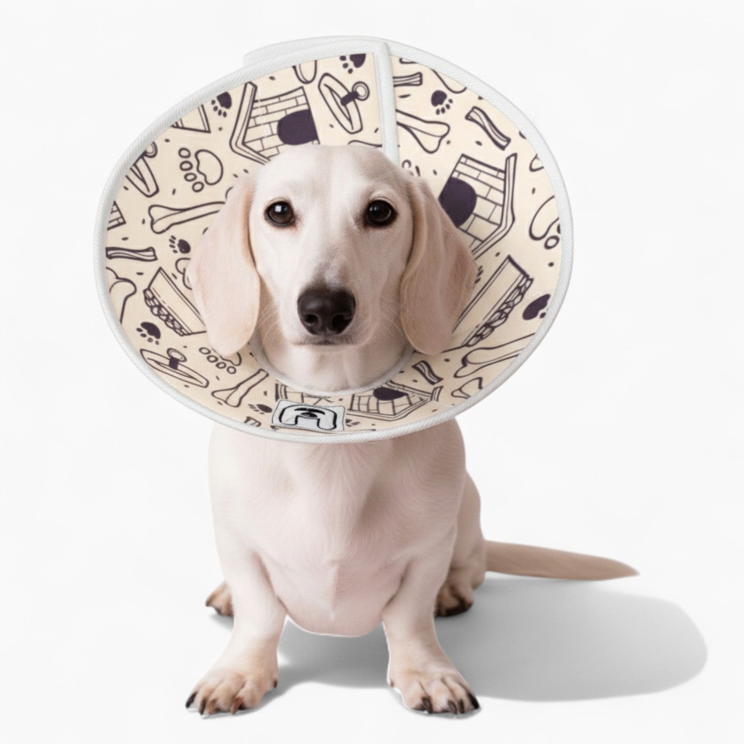 Finn - Soft Dog Cone & Elizabethan Collar