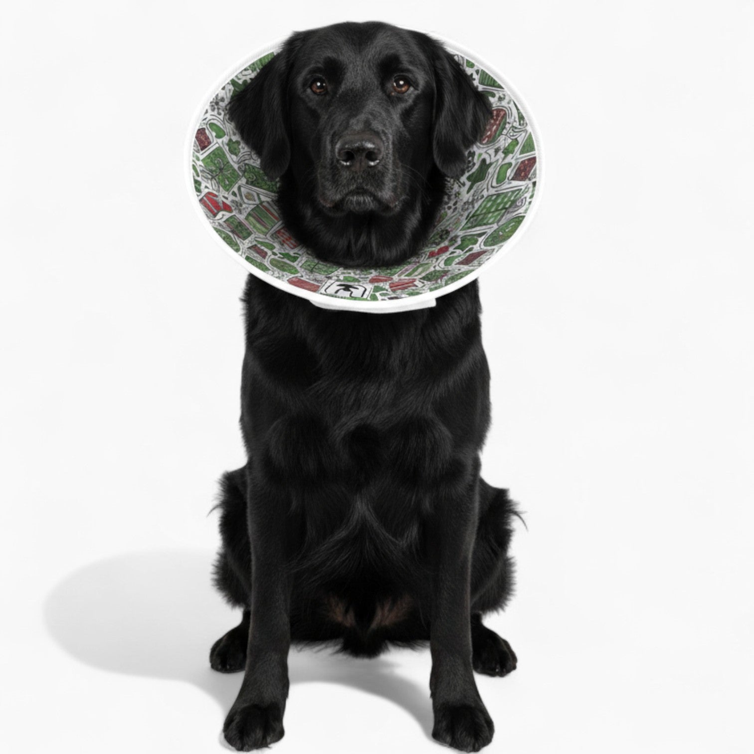 Milo - Soft Dog Cone & Elizabethan Collar