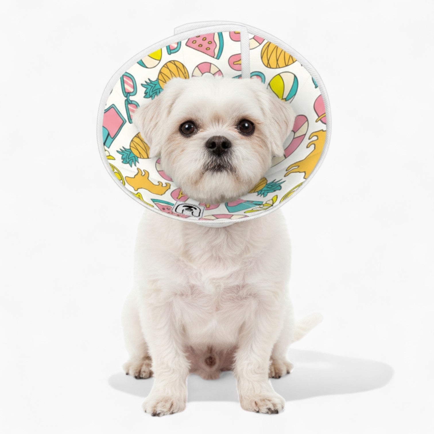 Bailey - Soft Dog Cone & Elizabethan Collar