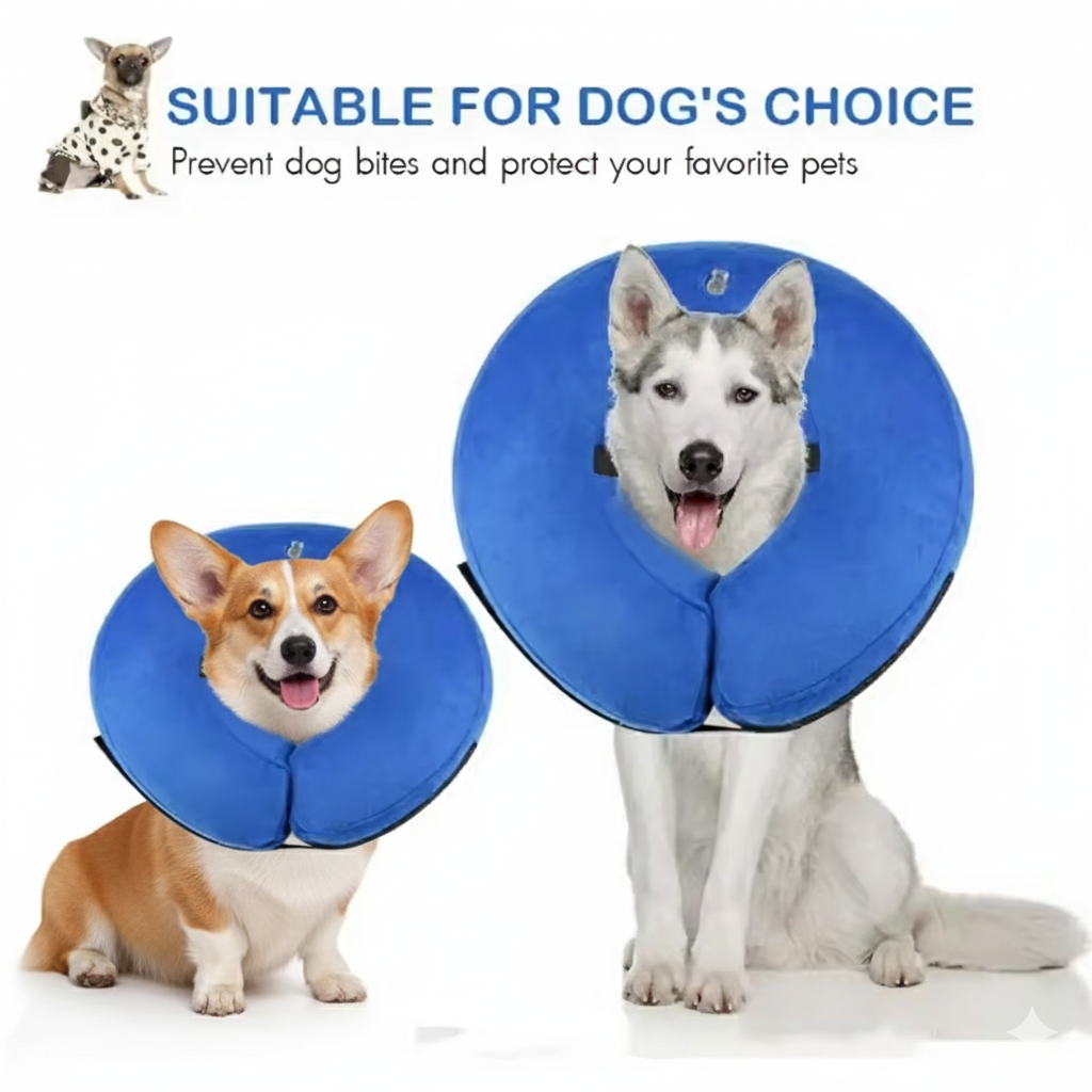 Soft-Inflatable-Recovery-Dog-Collar.jpg