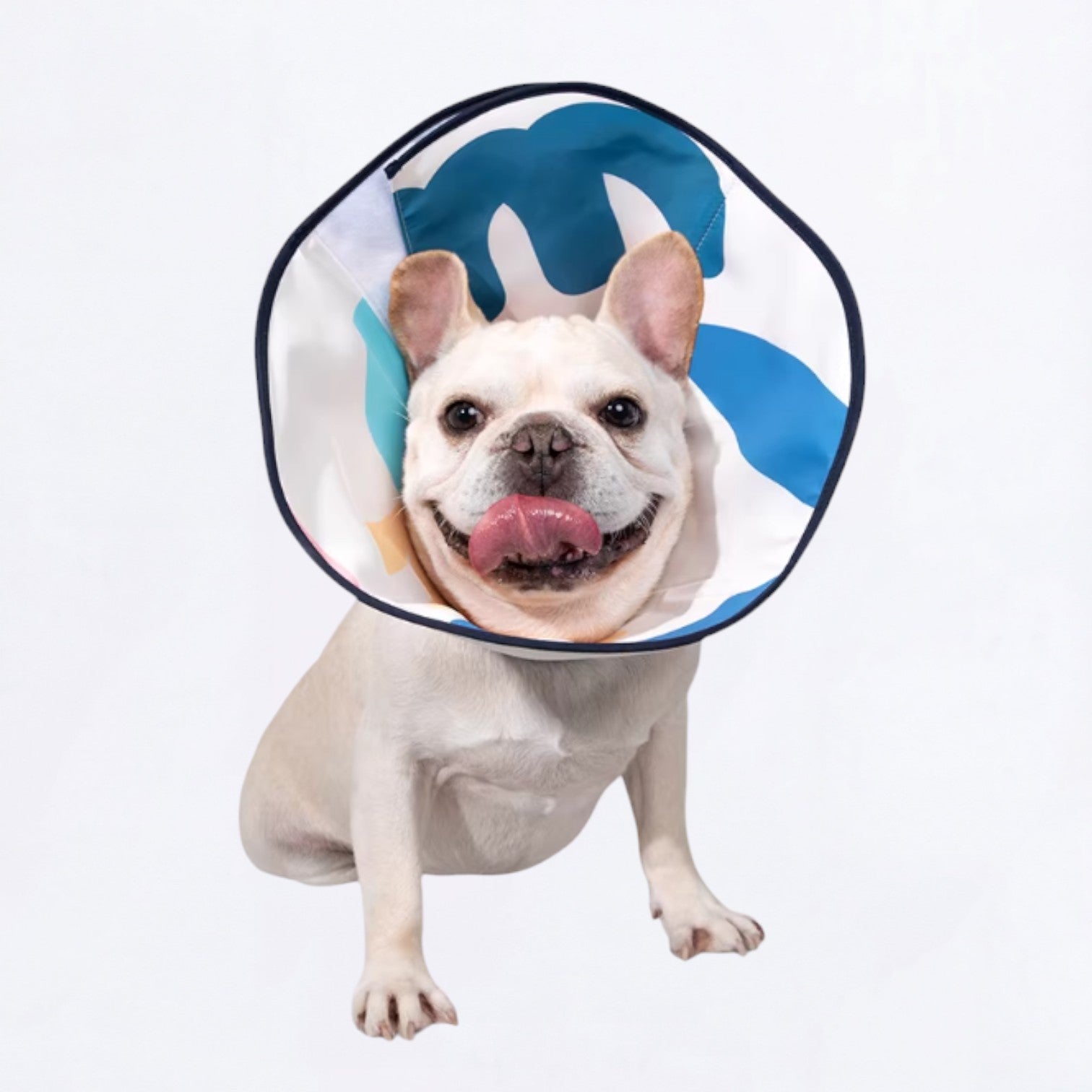 Soft-Recovery-Elizabethan-Dog-Cone.jpg