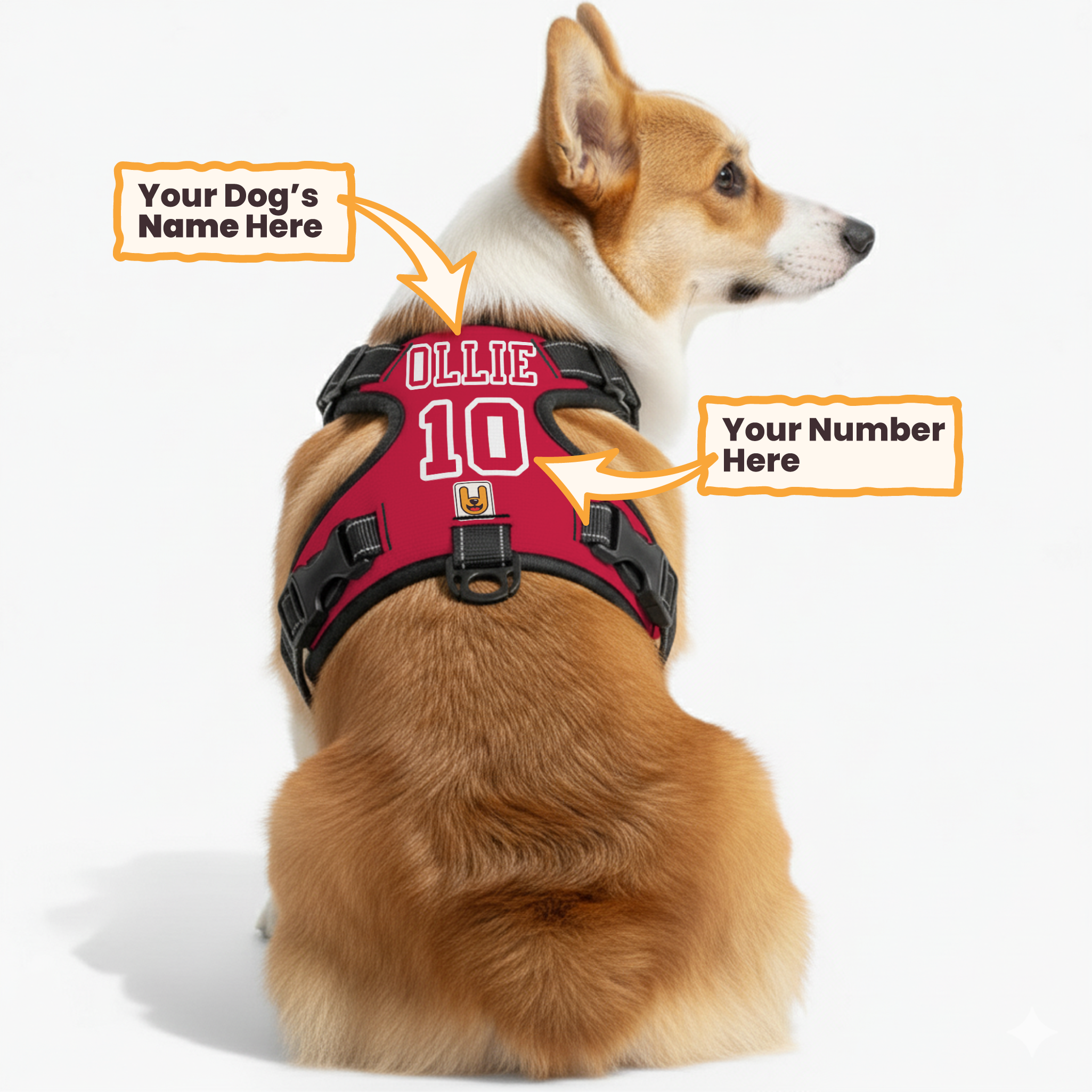 Spark - Custom Dog harness