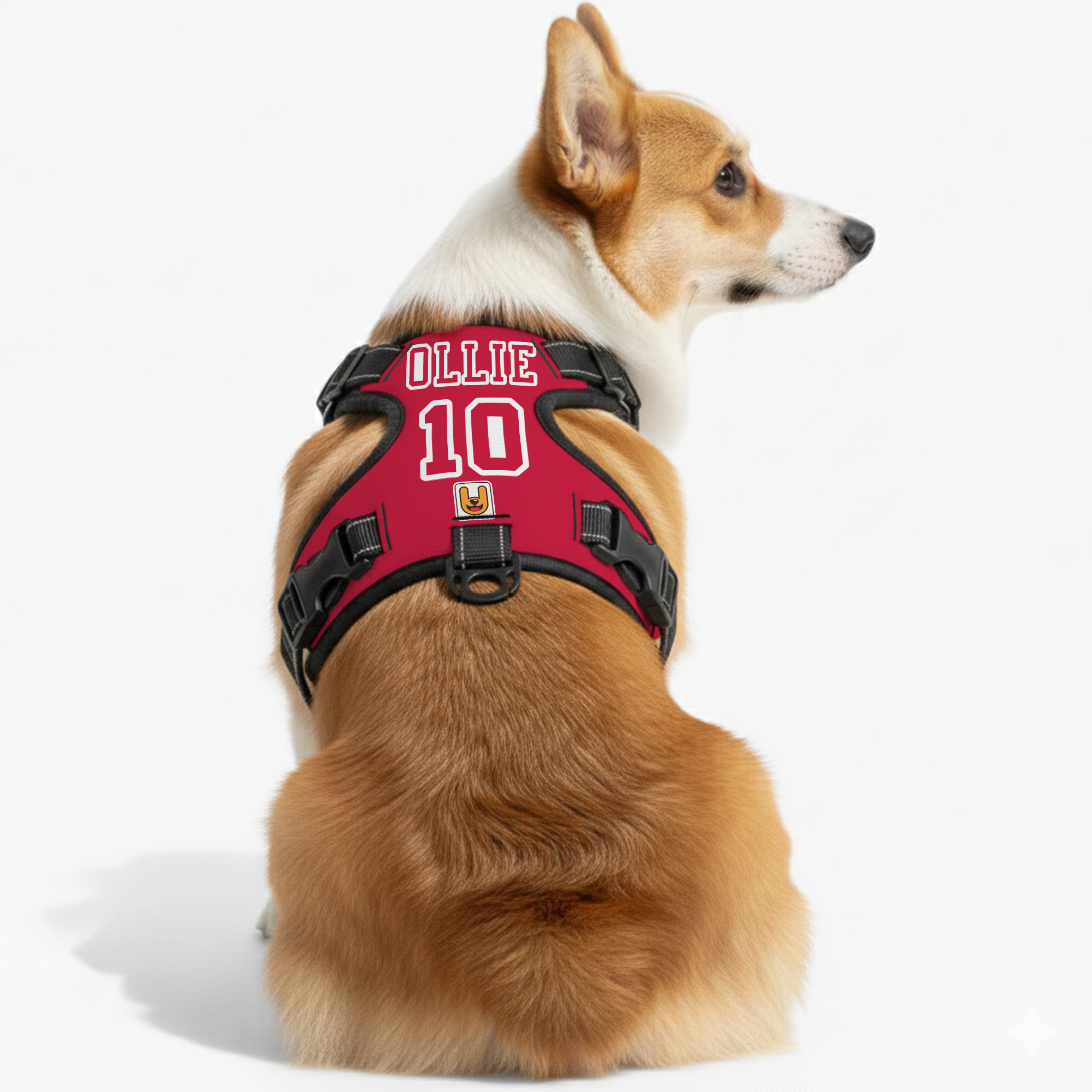 Spark - Custom Dog harness with name and number