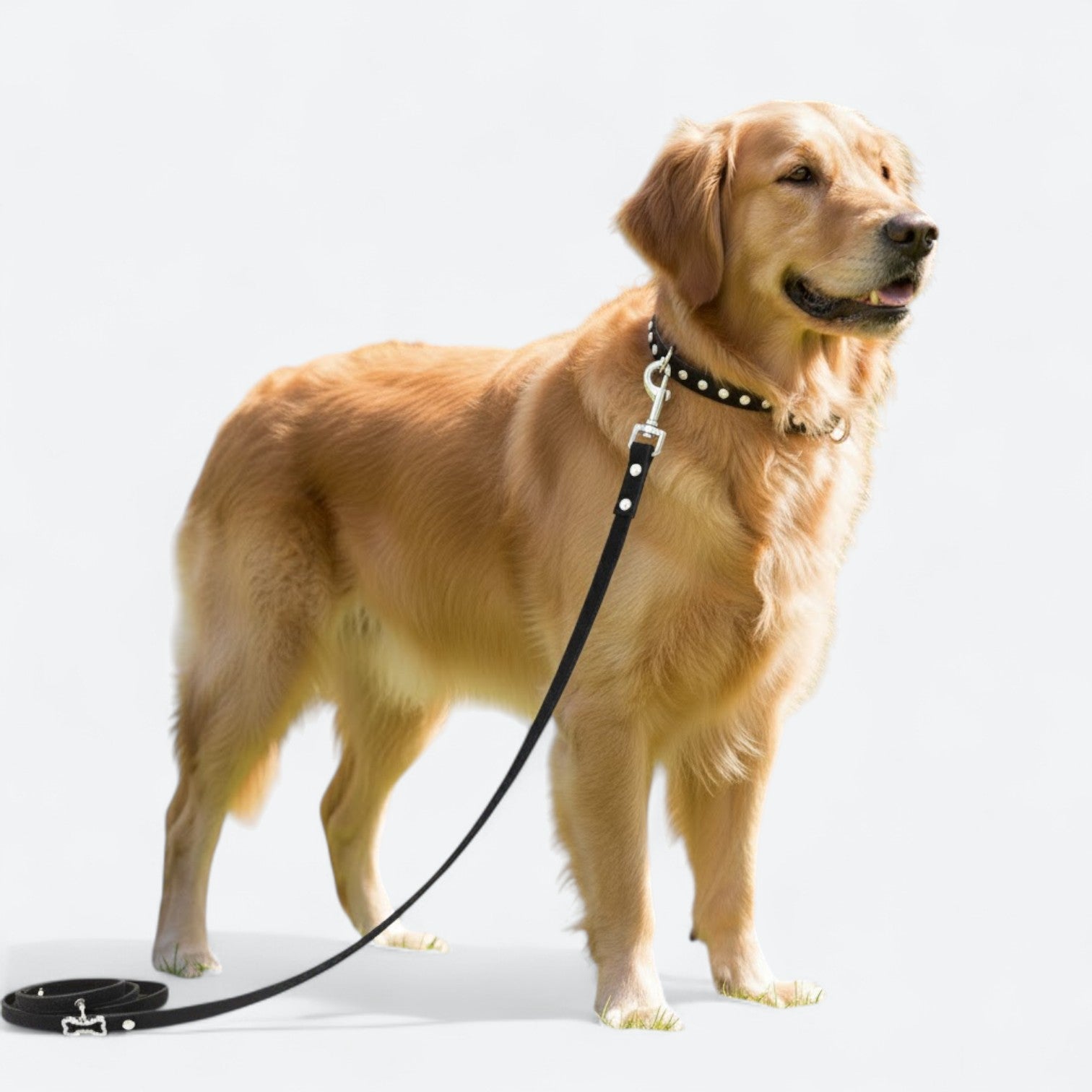 Sparkle-Dog-Collar-Leash-Set.jpg