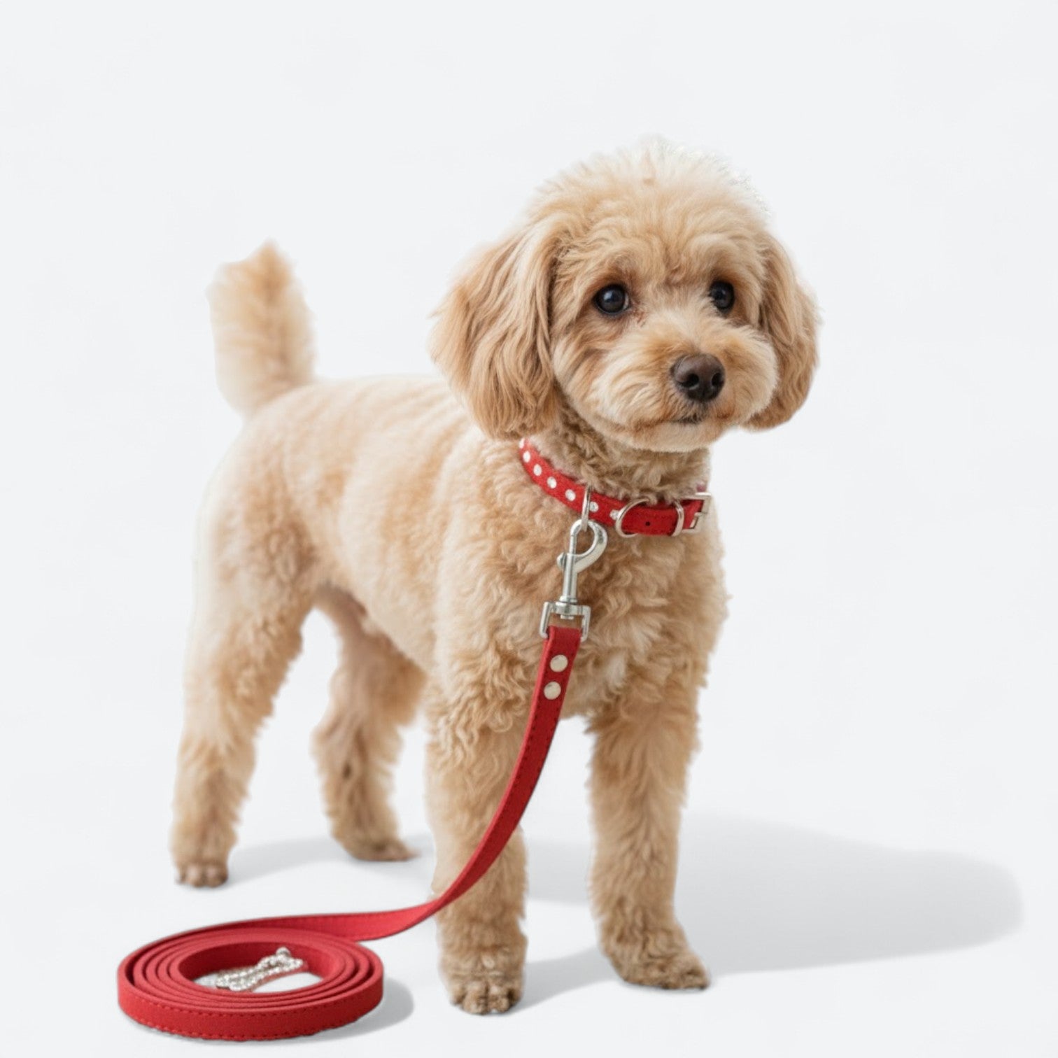 Sparkle-Dog-Collar-Leash-Set.jpg