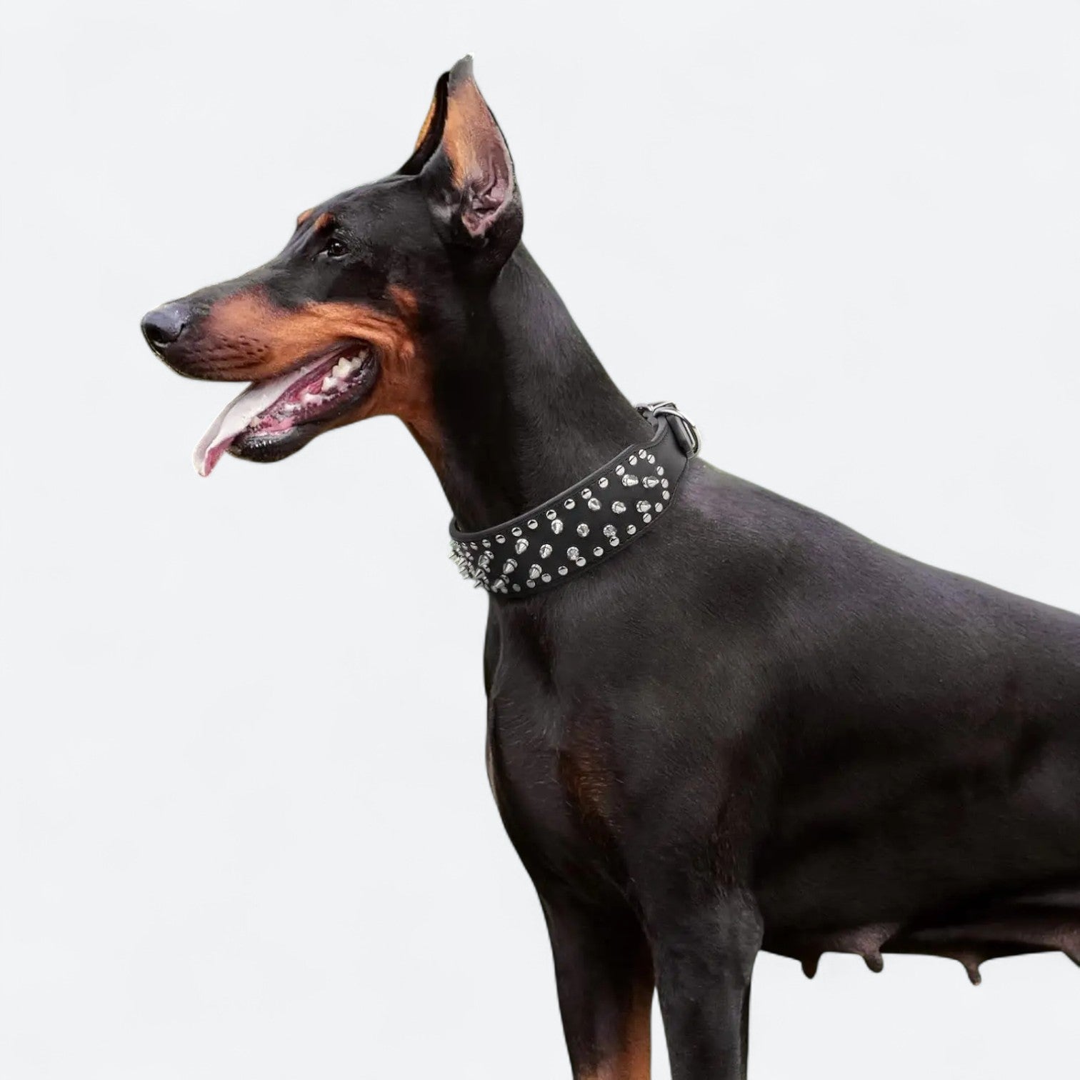Spiked-Leather-Dog-Collar-Leash-Set.jpg