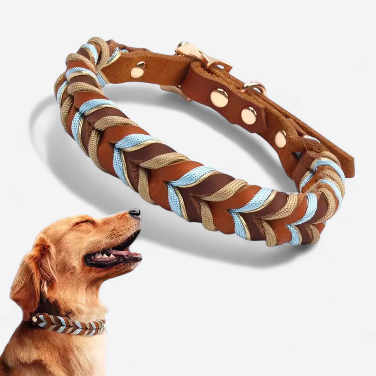 Stylish-Genuine-Leather-Dog-Collar.jpg
