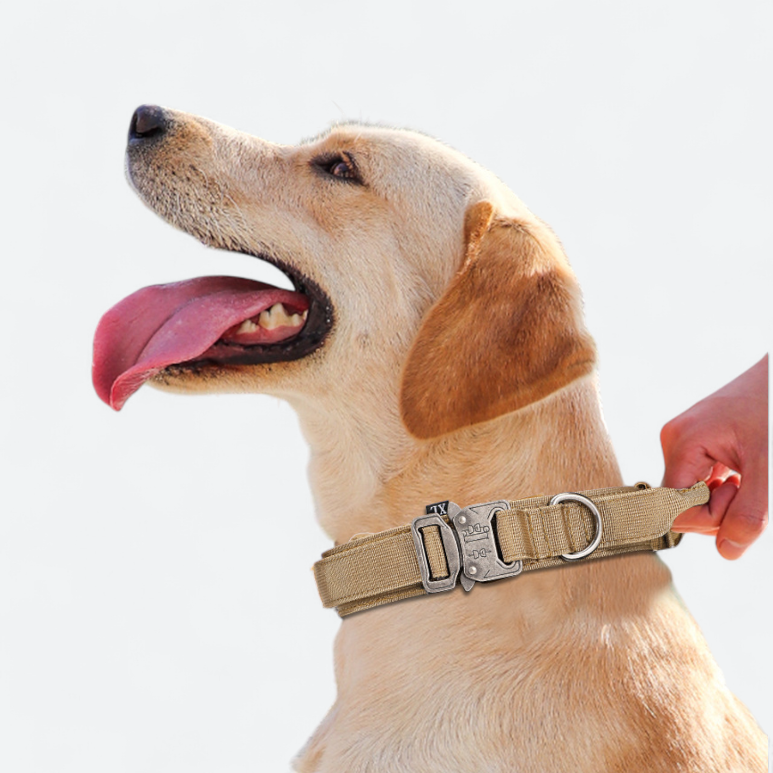 Tactical-Dog-Collar-Leash-Set.jpg