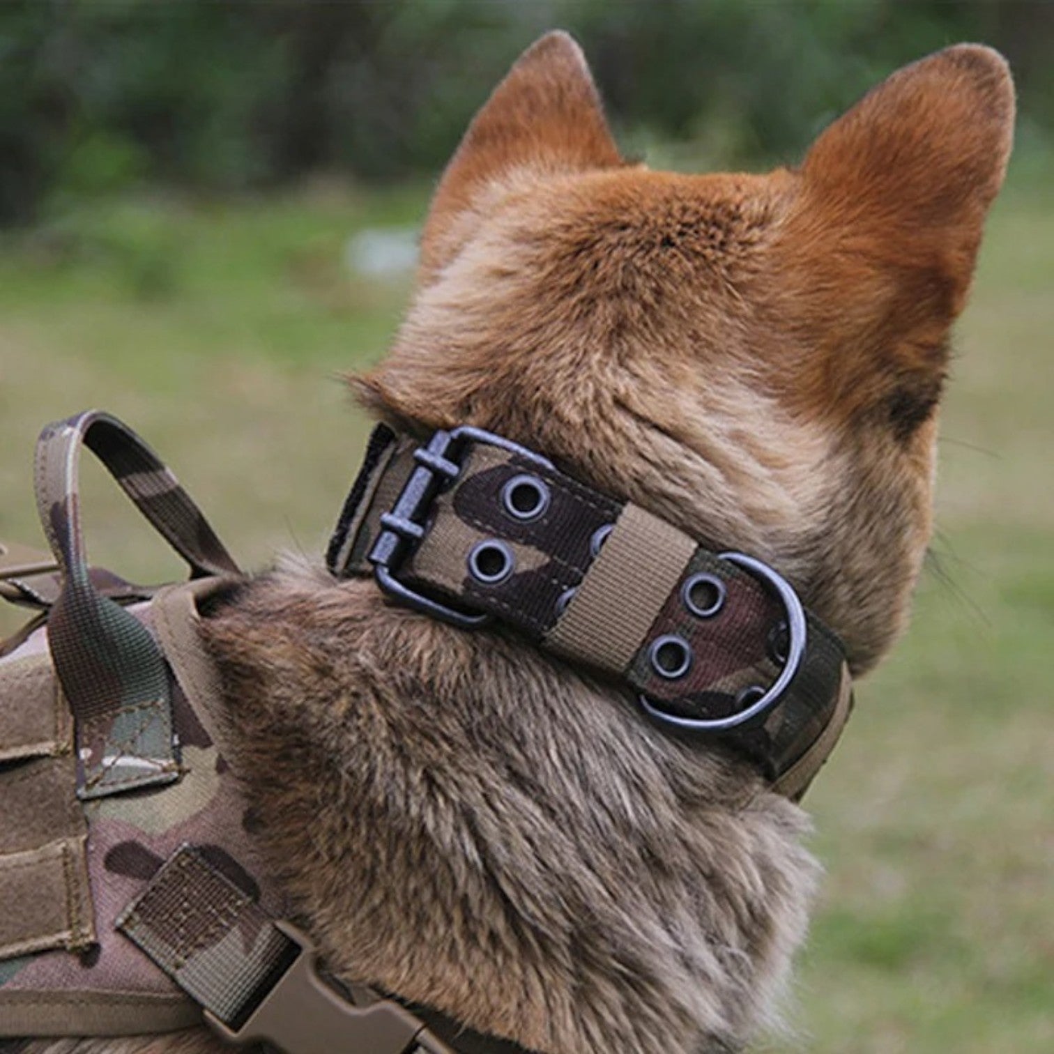Tactical-Military-Style-Dog-Collar.jpg