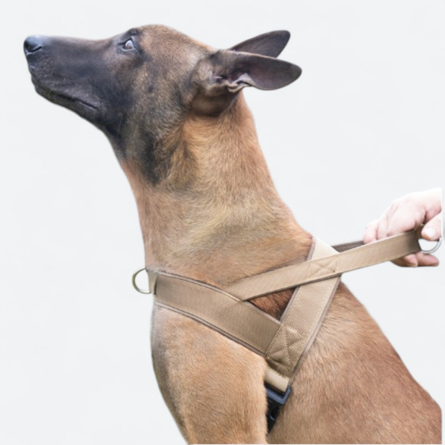 Tactical-No-Pull-Dog-Harness-Leash-Set.jpg