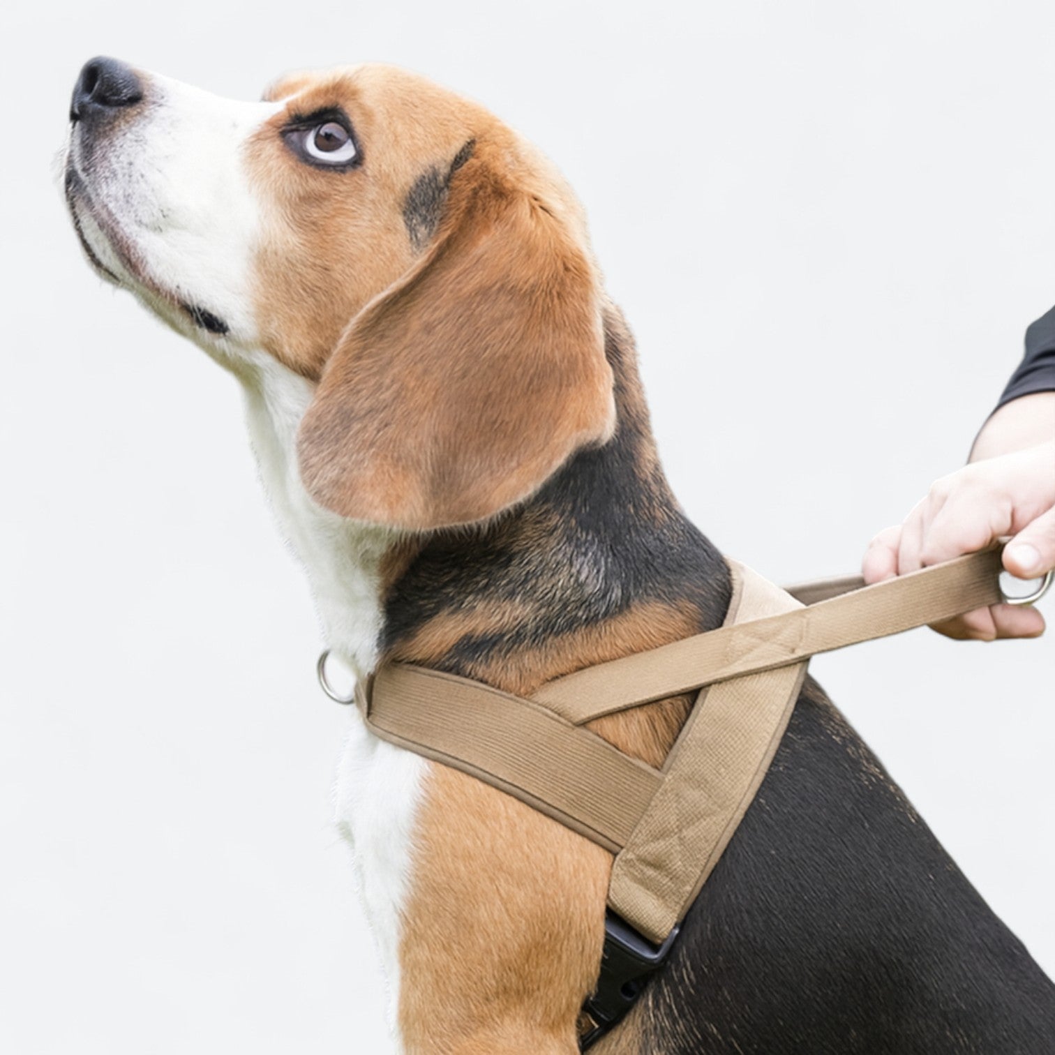 Tactical-No-Pull-Dog-Harness-Leash-Set.jpg