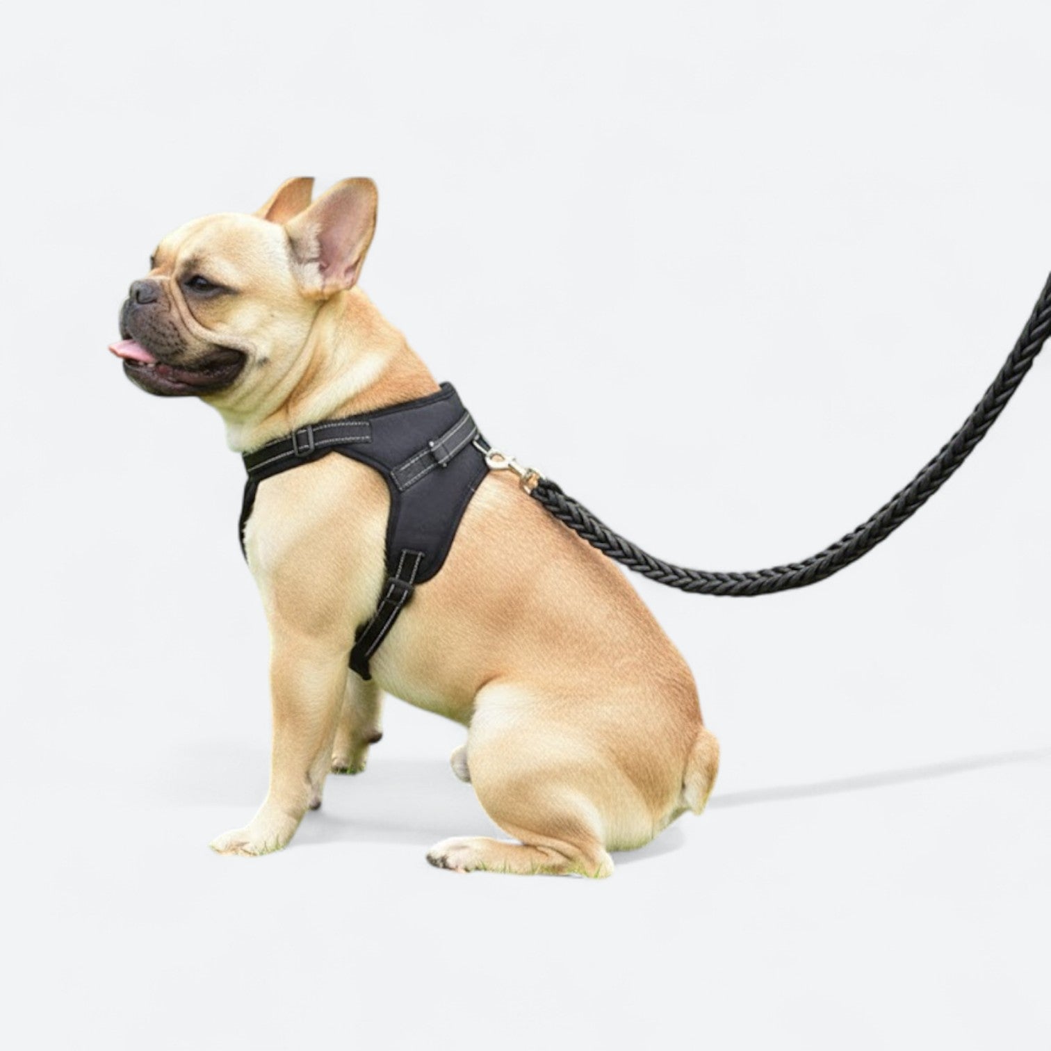 Training-Dog-Harness-Leash-Set-with-Collar.jpg