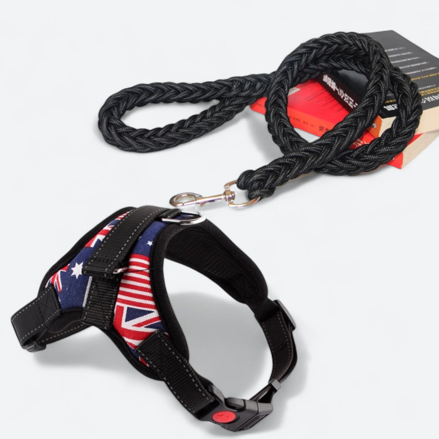 Training-Dog-Harness-Leash-Set-with-Collar.jpg