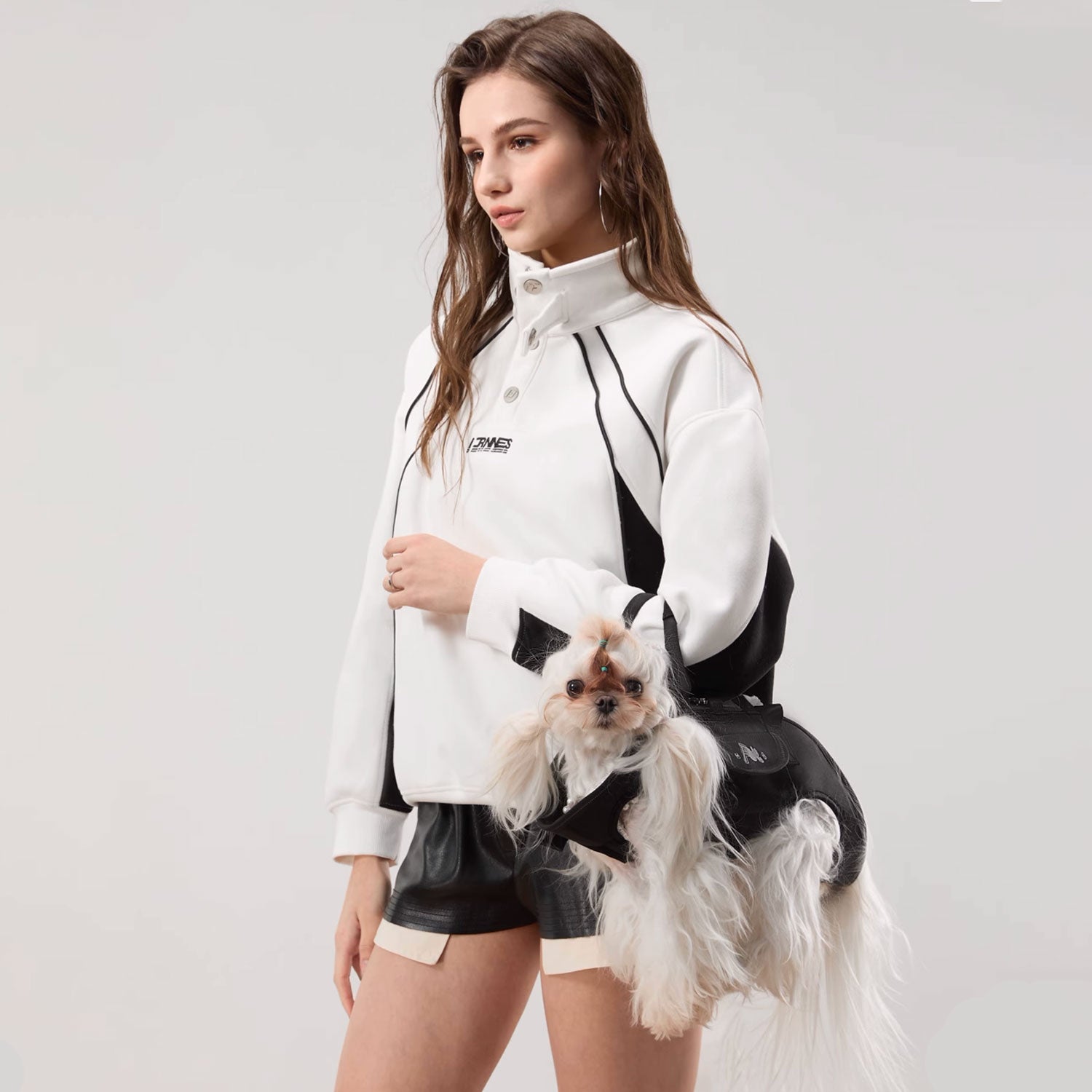 Travel Dog Backpack
