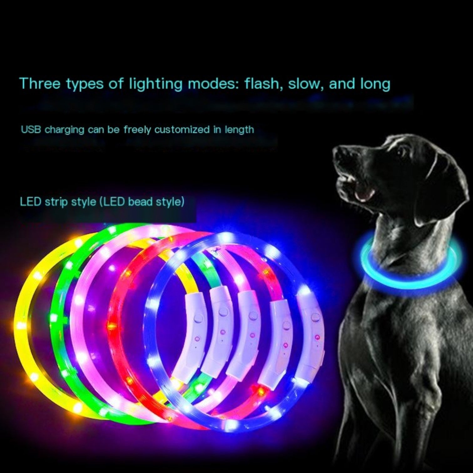 USB-Rechargeable-LED-Dog-Collar.jpg