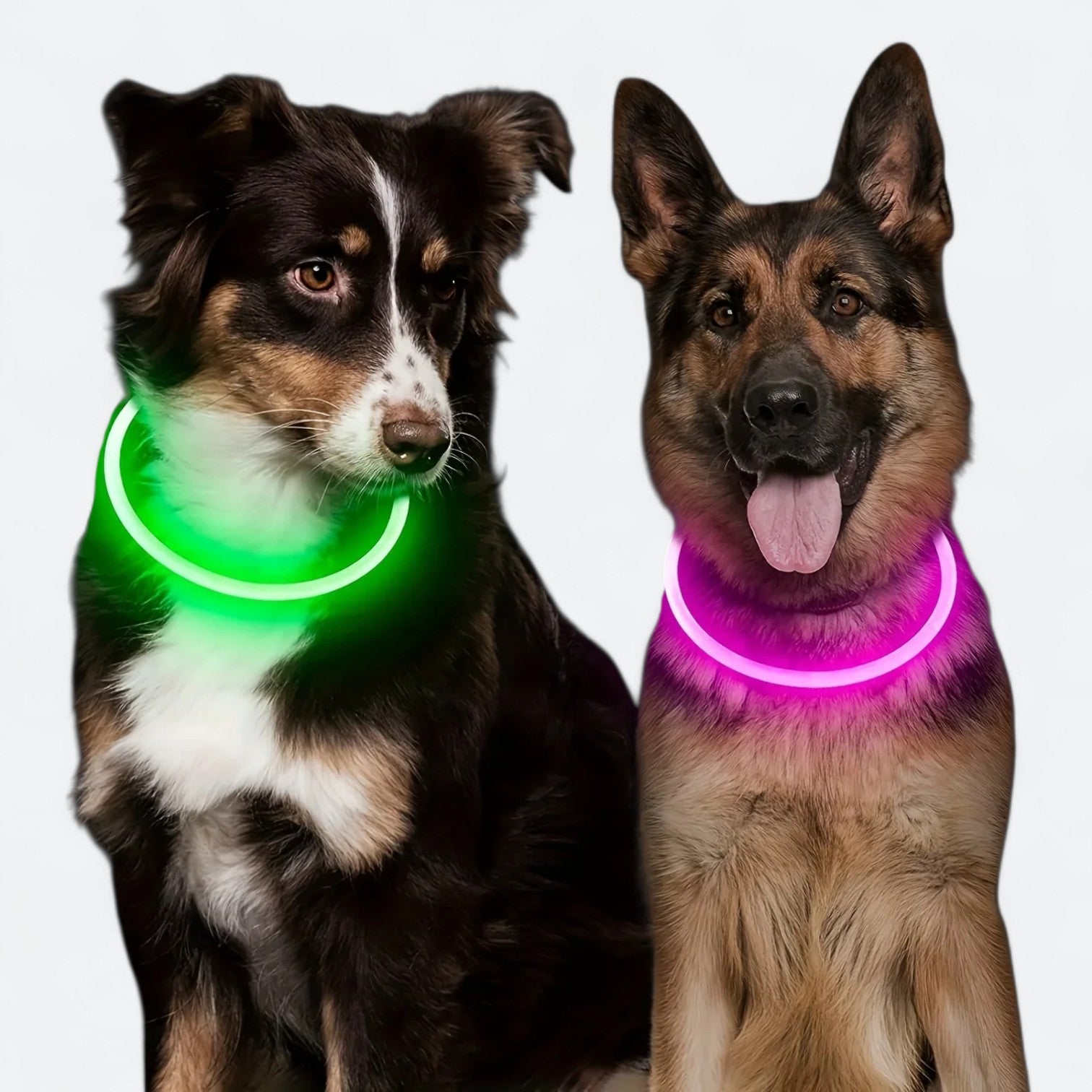 USB-Rechargeable-LED-Dog-Collar.jpg