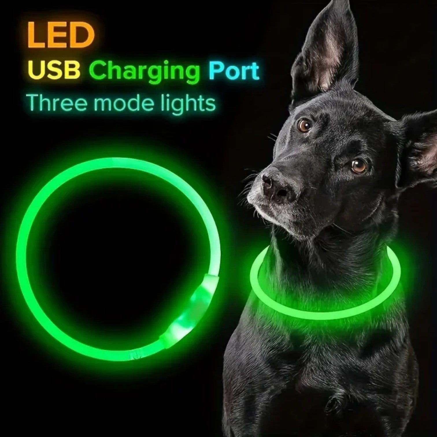 USB-Rechargeable-LED-Dog-Collar.jpg