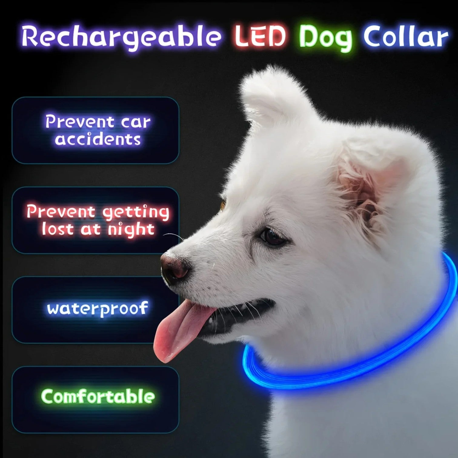 USB-Rechargeable-LED-Dog-Collar.jpg