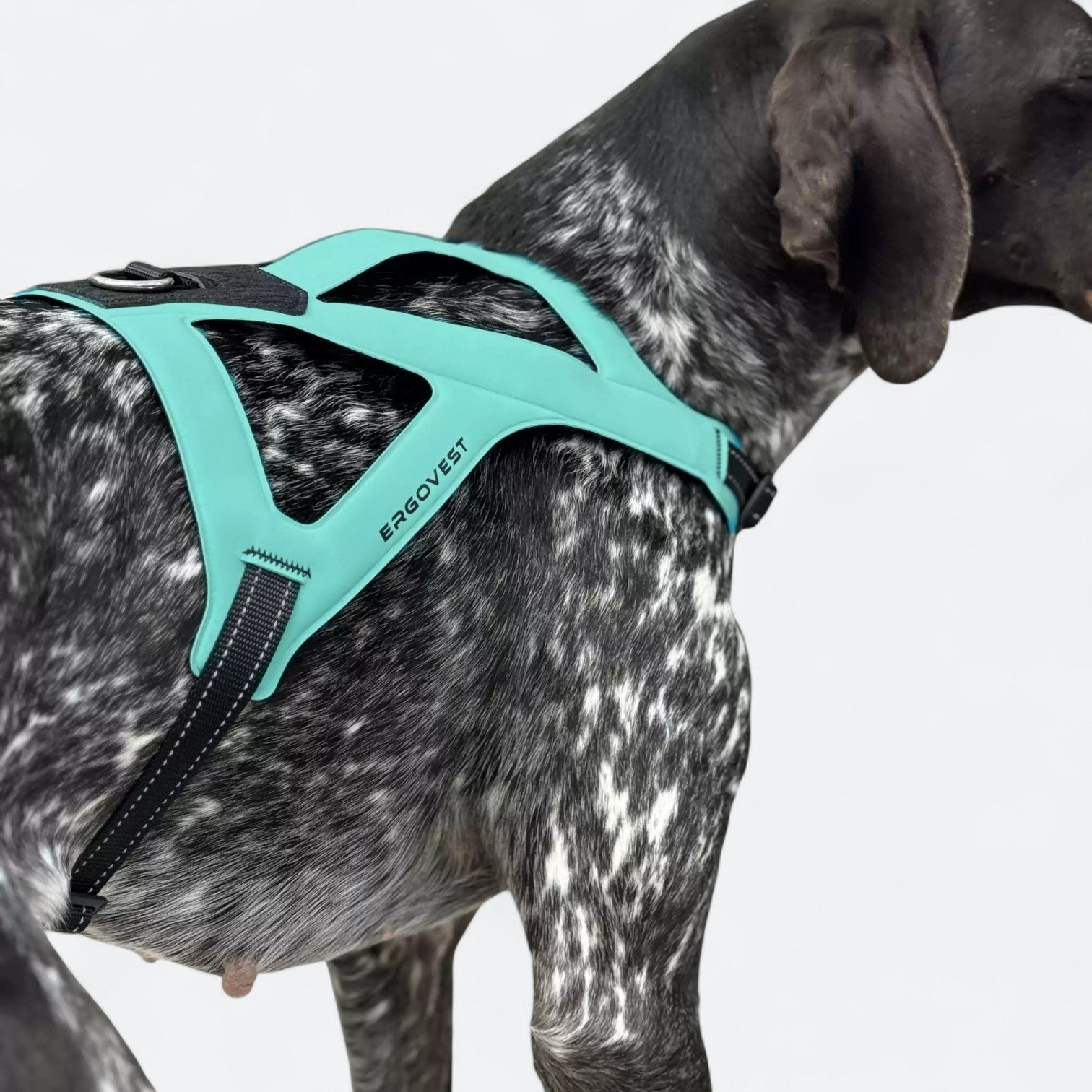 Ultra-Light-Ergonomic-Dog-Harness.jpg
