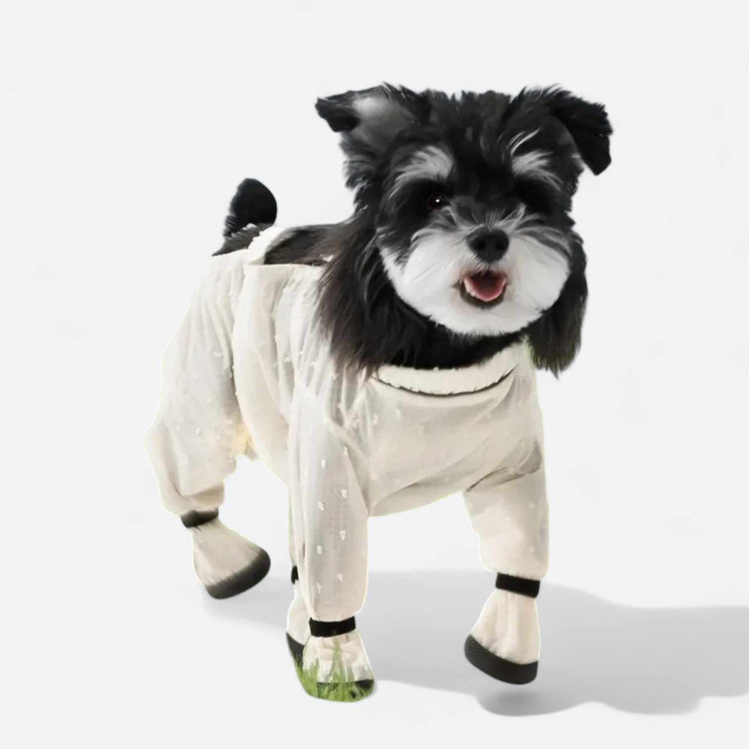 Ultra-Light-Waterproof-Dog-Jumpsuit.jpg