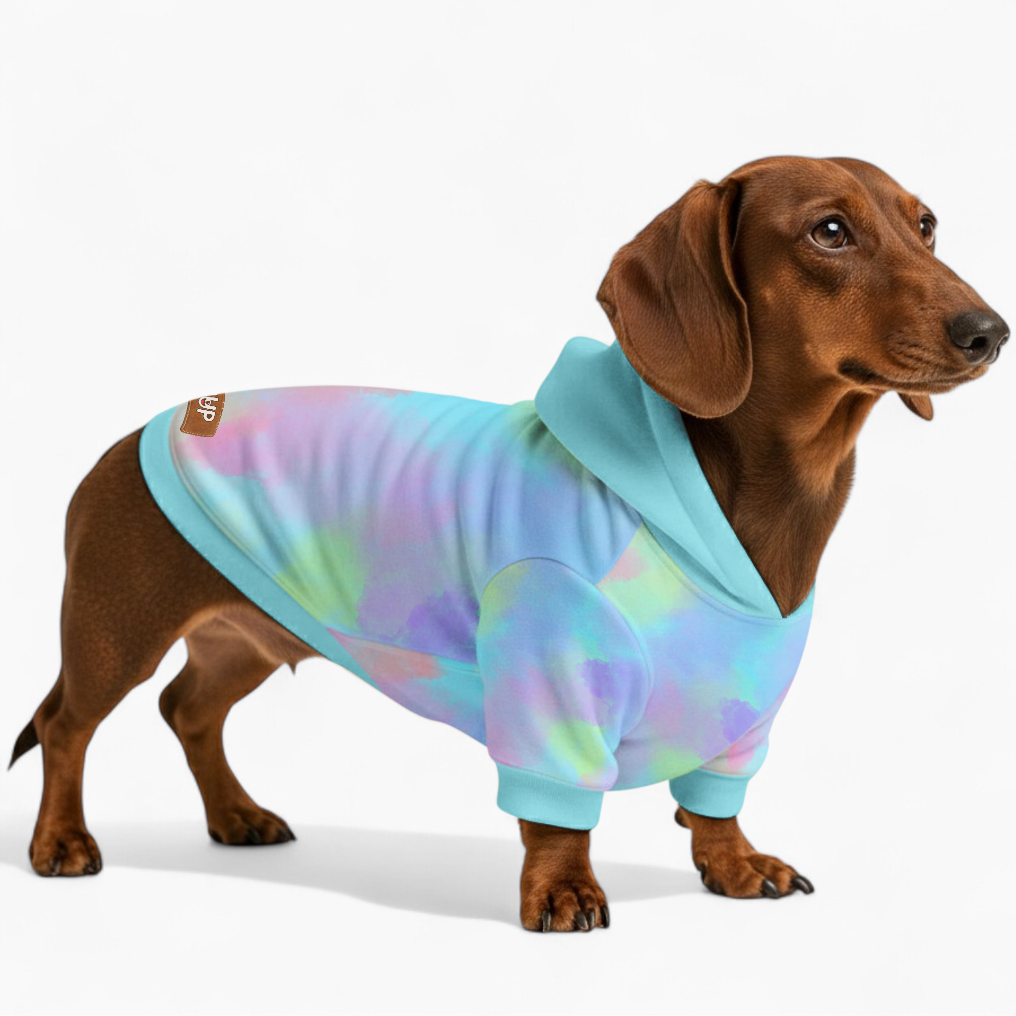 Brooklyn - Dog Hoodie
