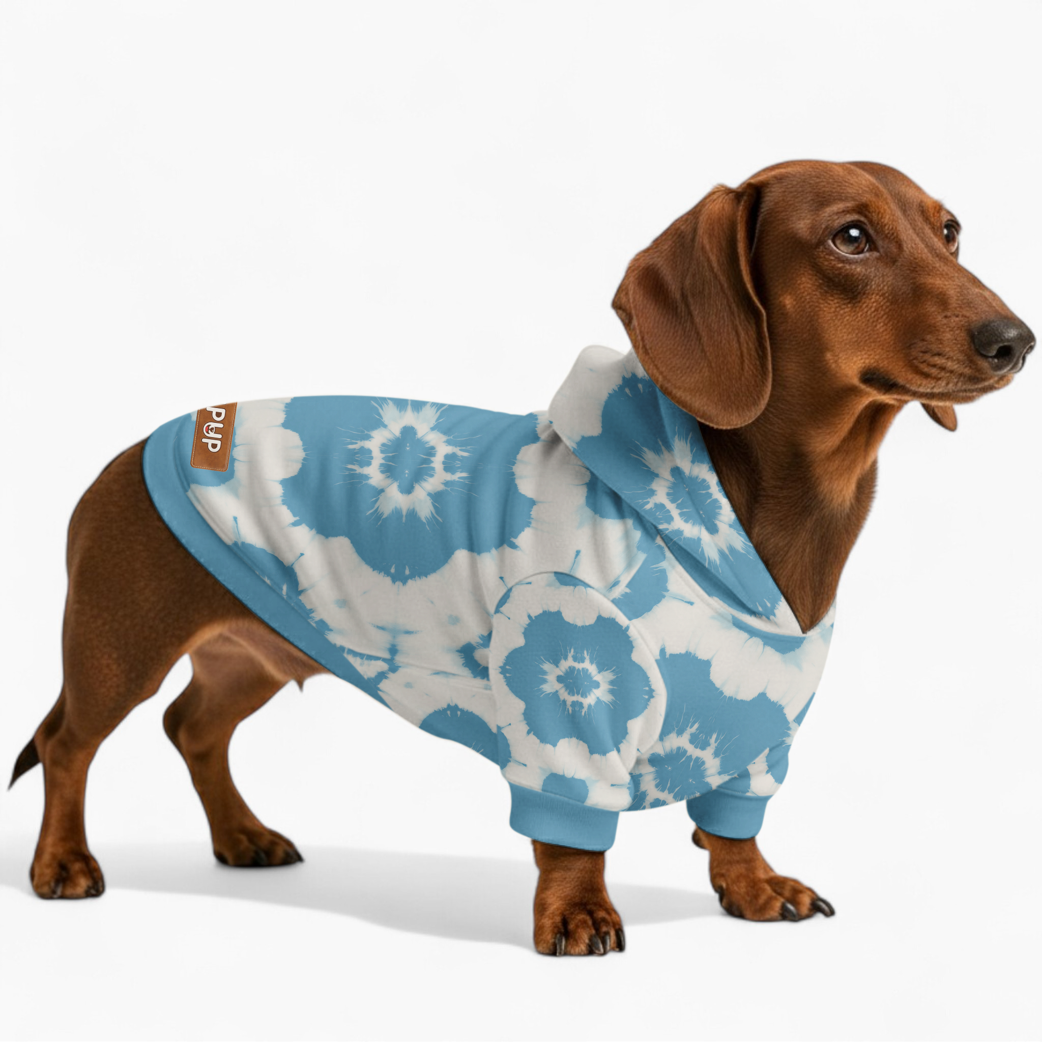 Canyon - Dog Hoodie