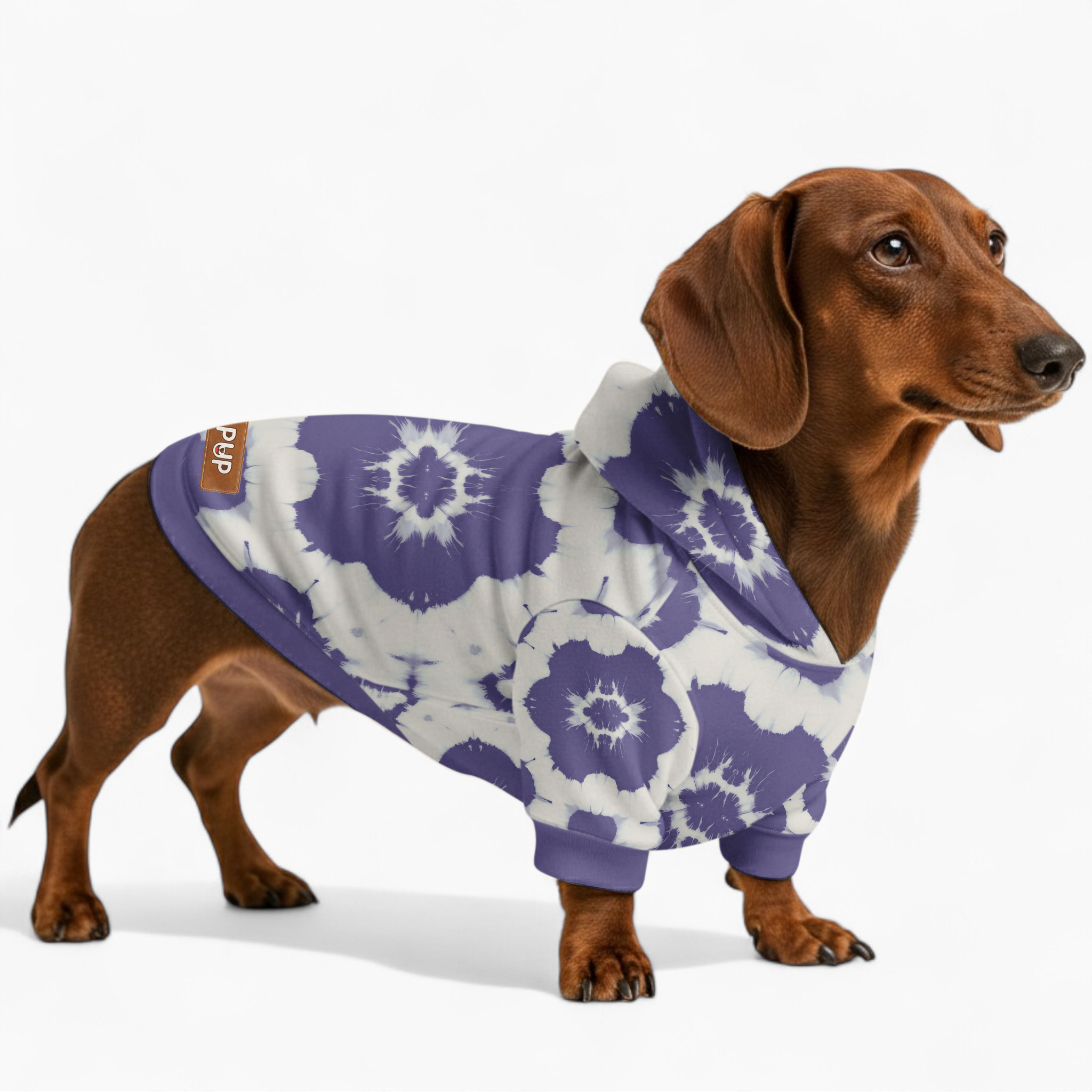 Casey - Dog Hoodie