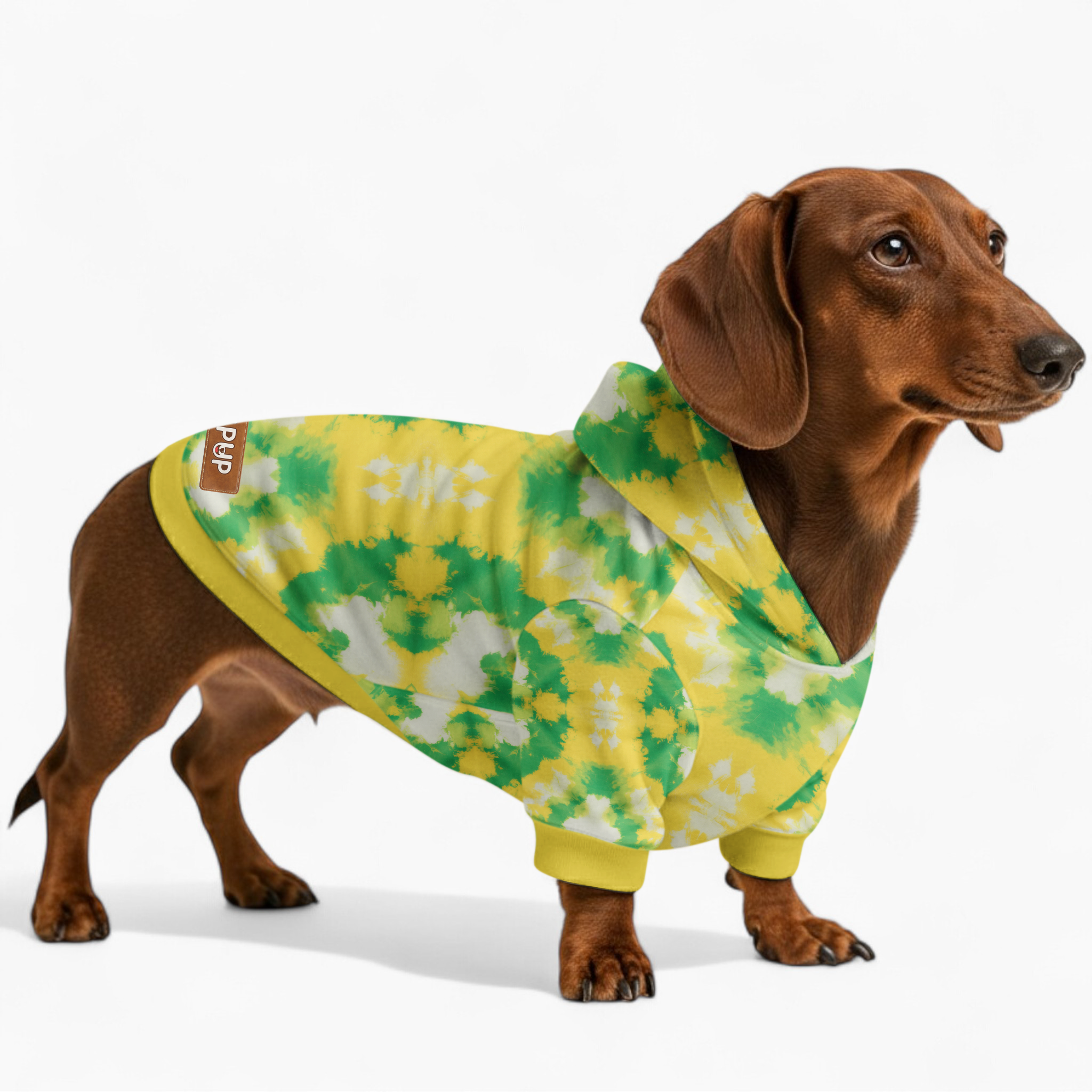 Cricket - Dog Hoodie