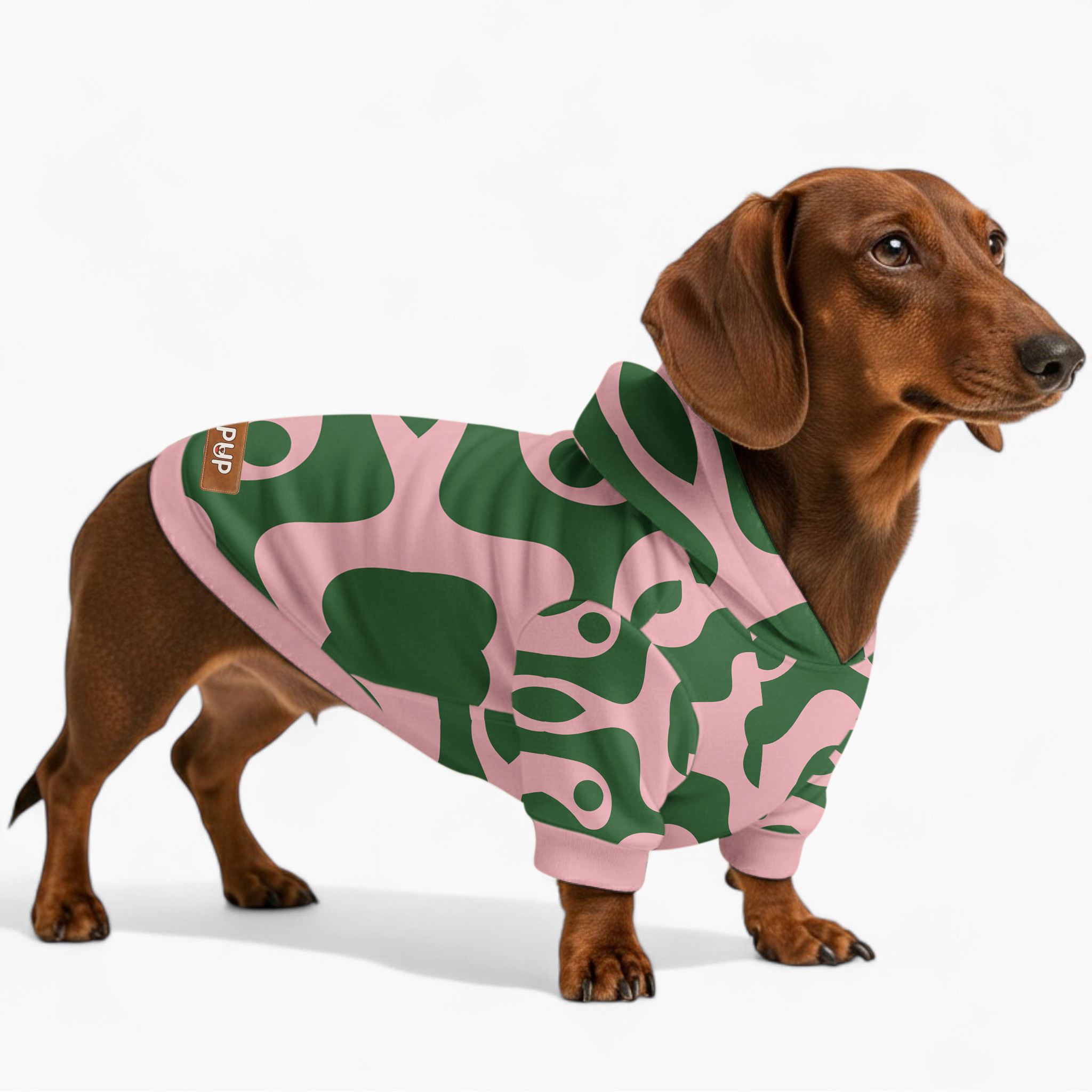 Diva - Dog Hoodie