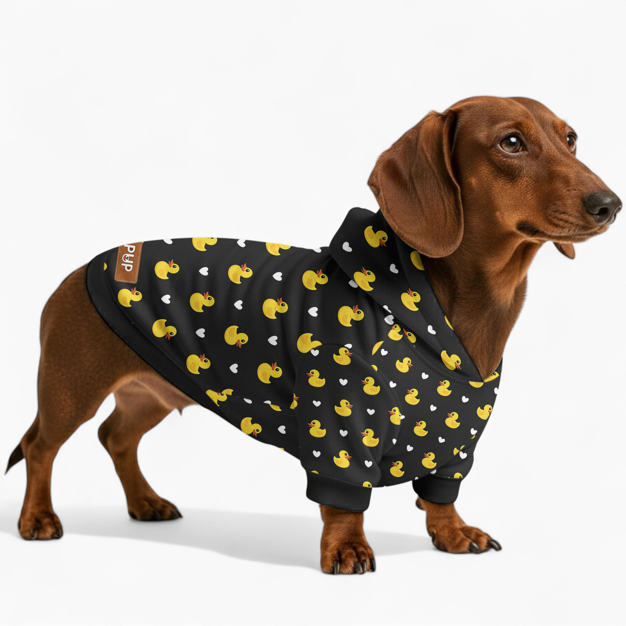 Edie - Dog Hoodie