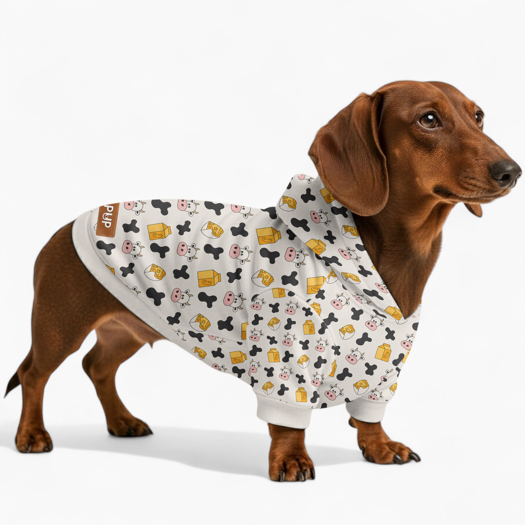 Elsa - Dog Hoodie