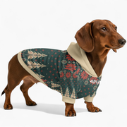 Allie - Dog Hoodie