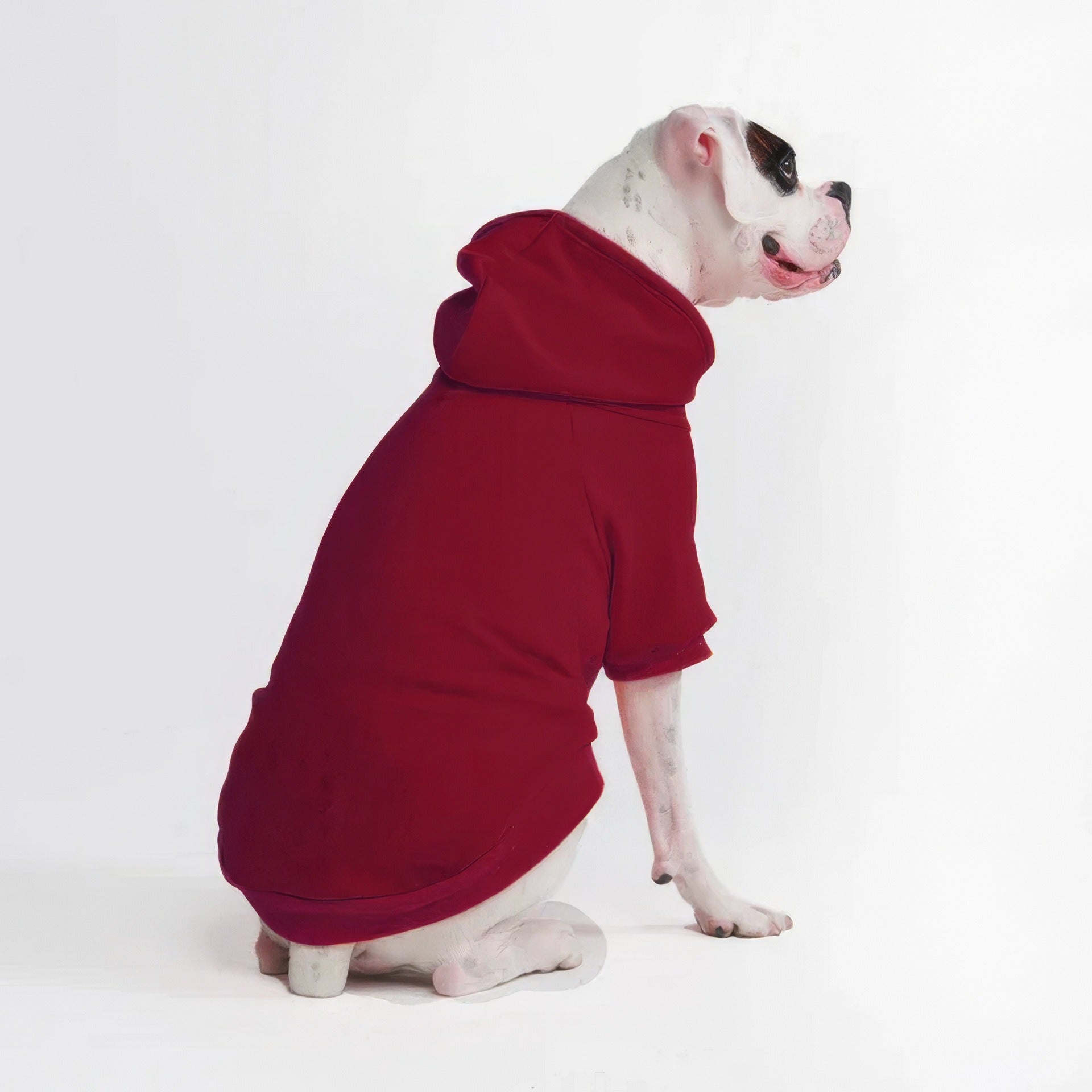 Velvet dog and owner matching hoodies