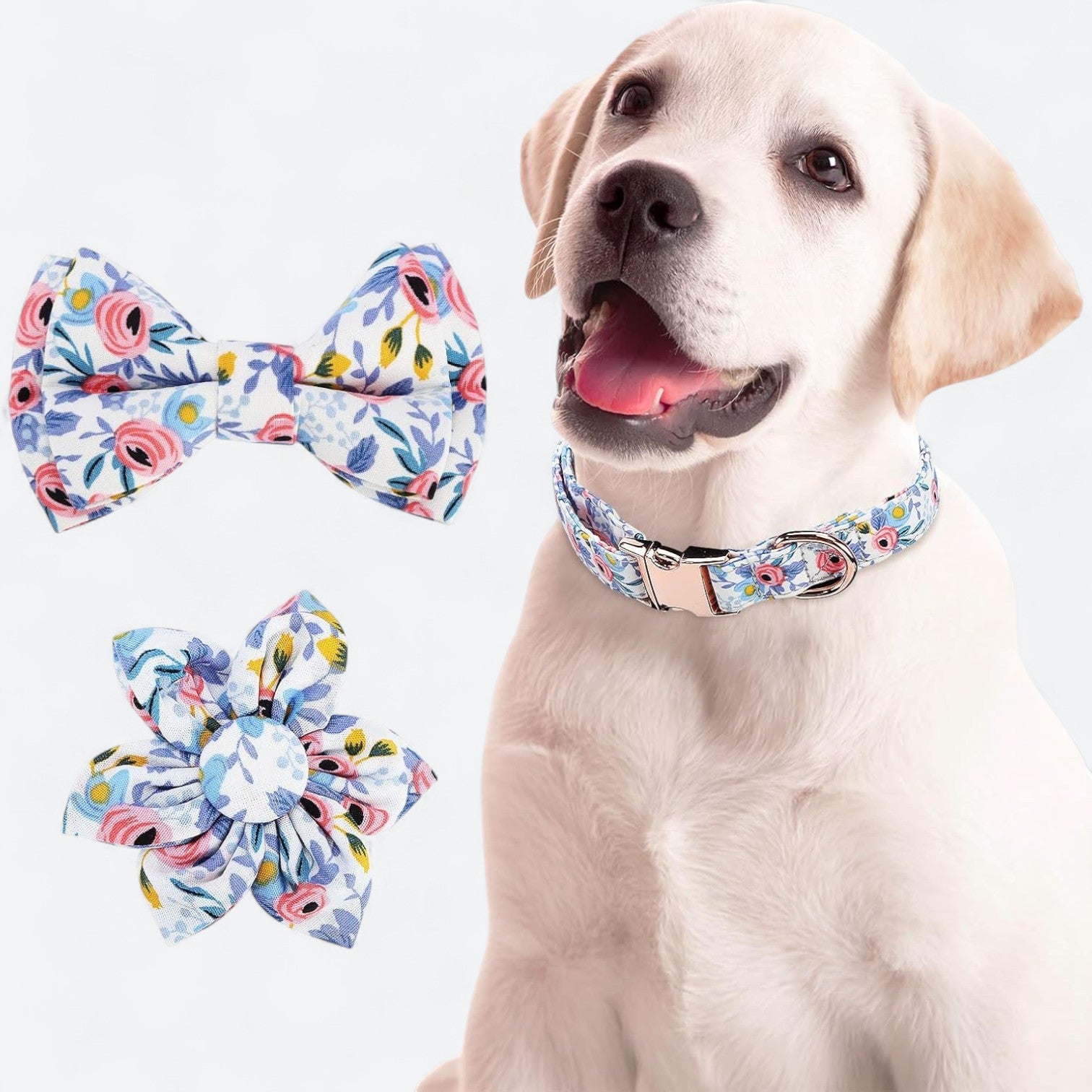 Versatile-Dog-Collar-Leash-Set.jpg