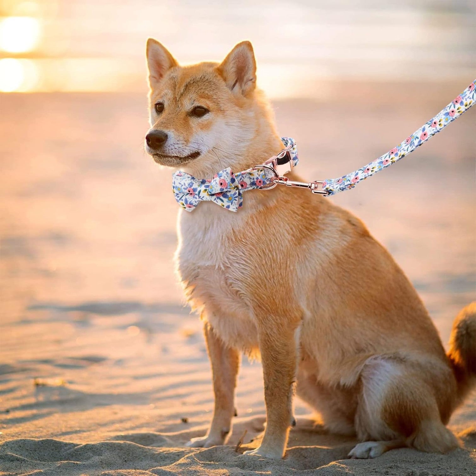 Versatile-Dog-Collar-Leash-Set.jpg