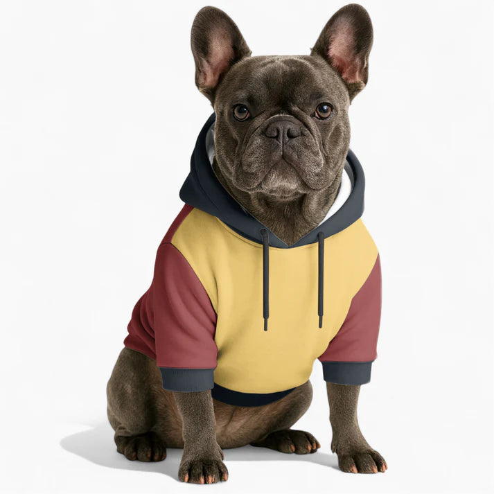 Loki - Dog hoodie
