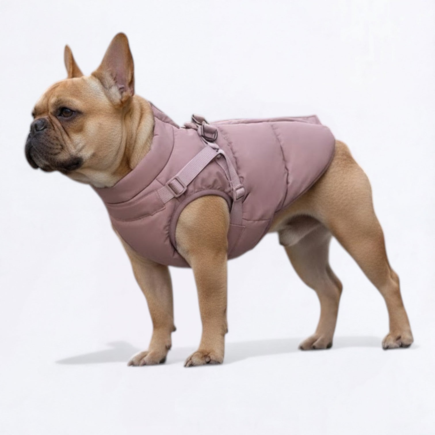 Warm-Winter-Dog-Harness-Jacket.jpg