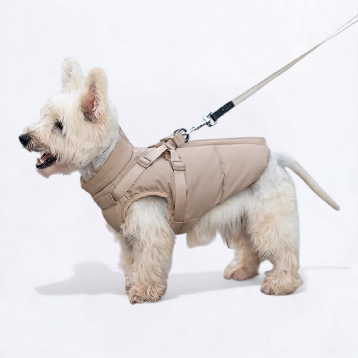 Warm-Winter-Dog-Harness-Jacket.jpg